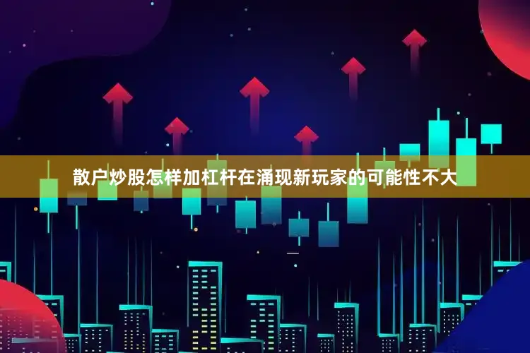 散户炒股怎样加杠杆在涌现新玩家的可能性不大